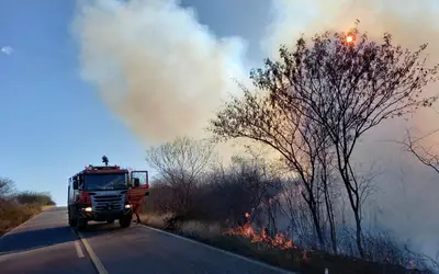 Número de incêndios cresce 41% no Piauí; Estado já registrou mais de 700 focos